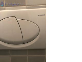 Loodgieter Reparatie toilet Drukplaat vervangen