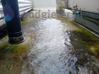 Loodgieter Regenpijp verstopt Regenpijp verstopt