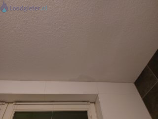 Loodgieter Lekkage dakgoot Lekkage dakgoot