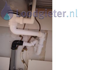 Loodgieter Rioolvliegjes Riool vliegjes