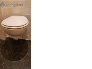 Loodgieter Installatie Toilet Toiletpot vervangen