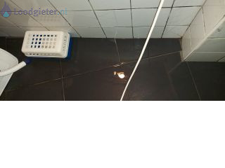 Loodgieter Lekkage kelder Lekkage kelder